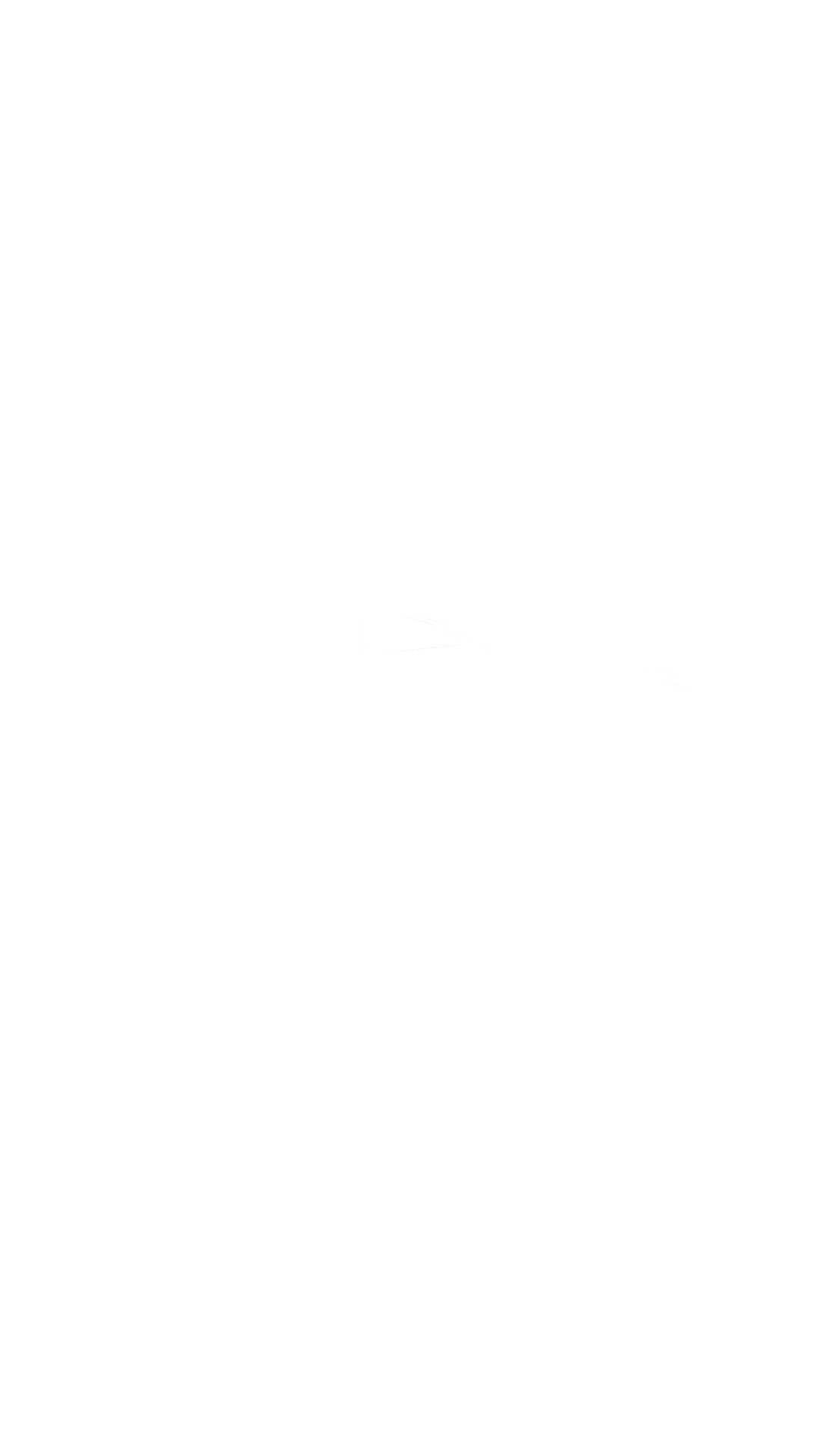 C3 VEICULOS